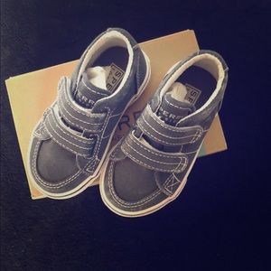 Sperry boys canvas toddler shoes